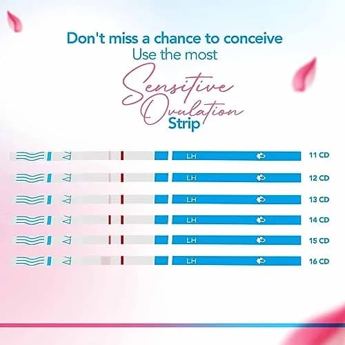 Clinical Guard Medical Test Strip Combo 19 Count | Accurate Ovulation & Pregnancy Tests for Indian Women thumbnail 5