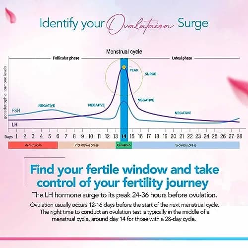 Clinical Guard Ovulation & Pregnancy Test Kit 30 Count | Fast, Accurate Fertility & Early Pregnancy Detection thumbnail 5