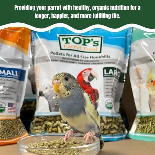 TOP's Parrot Food USDA Organic Certified Non-GMO Bird Food for Hookbills 1.82 kg (4 lb) | Complete Diet for Large Parrots thumbnail 5
