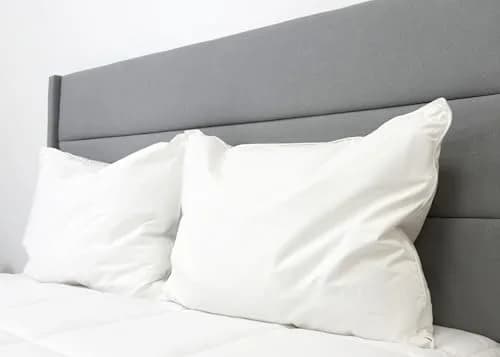Pillowtex Hotel Feather & Down King Pillow Set (2 Pack) | Medium-Firm Support, White, Cotton Cover thumbnail 4