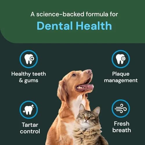 VETRISCIENCE Dental Care Powder 16 Oz | Supports Oral Hygiene & Fresh Breath thumbnail 4