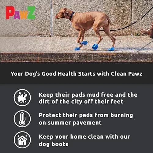 Protex PawZ Rubber Dog Boots for Medium Paws | All-Weather Waterproof, Anti-Slip thumbnail 5