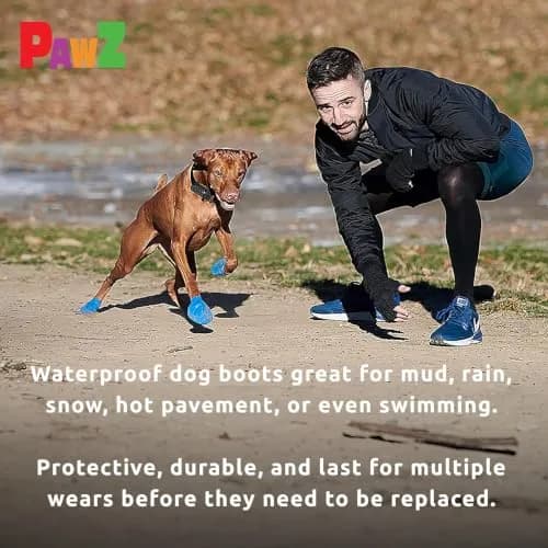 Protex PawZ Rubber Dog Boots for Medium Paws | All-Weather Waterproof, Anti-Slip thumbnail 7