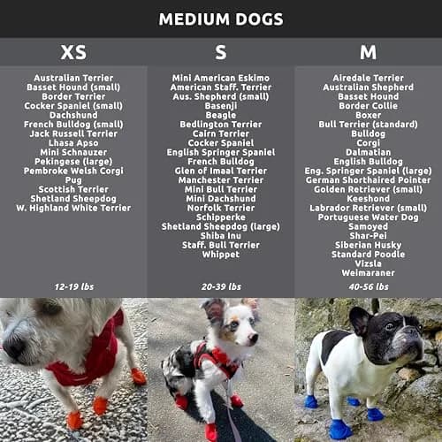 Protex PawZ Rubber Dog Boots for Medium Paws | All-Weather Waterproof, Anti-Slip thumbnail 4