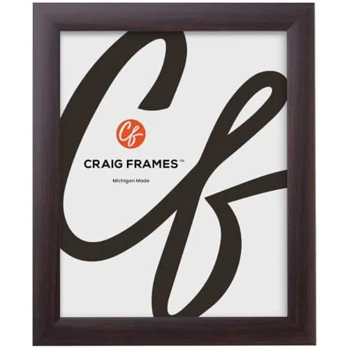 Craig Frames 10x13 Inch Brazilian Walnut Picture Frame with Glass | Ready-to-Hang Wall Decor thumbnail 1