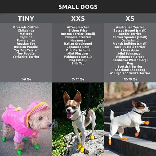 Protex PawZ Rubber Dog Boots - Waterproof Non-Slip Dog Shoes & Booties, 12 Pack | All-Weather Paw Protection for Small Dogs thumbnail 4