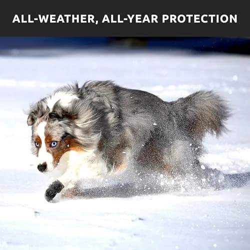PawZ Rubber Dog Boots - Waterproof Non-Slip Dog Shoes for Hot Pavement, 12 Pack XL thumbnail 6