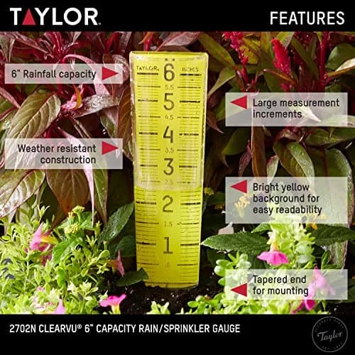 Taylor ClearVu Rain Gauge 15.6 cm (6 inch) Capacity | Measure Rainfall Accurately thumbnail 2