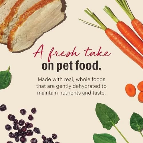 The Honest Kitchen Wholemade Grain Free Turkey Recipe Dehydrated Dog Food 10 lb (4.54 kg) | Supports Digestion & Coat thumbnail 3