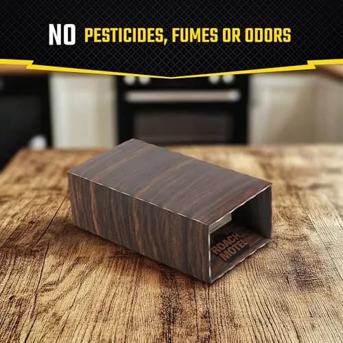 United Industries Roach Motel Traps 2 Count | No Pesticides, Hides Dead Bugs, Up to 4 Months thumbnail 5