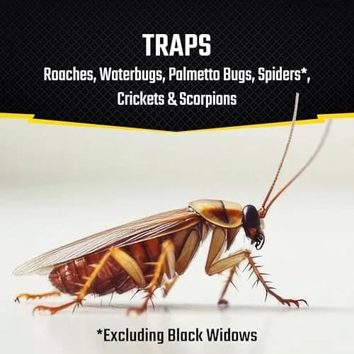 United Industries Roach Motel Traps 2 Count | No Pesticides, Hides Dead Bugs, Up to 4 Months thumbnail 2