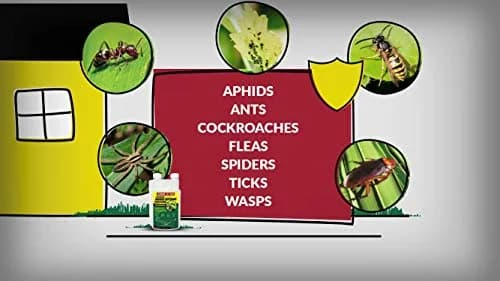 Compare-N-Save 7.9% Bifenthrin Concentrate Insect Control 473ml (16 Fl Oz) | Kills Pests Indoors & Outdoors thumbnail 3