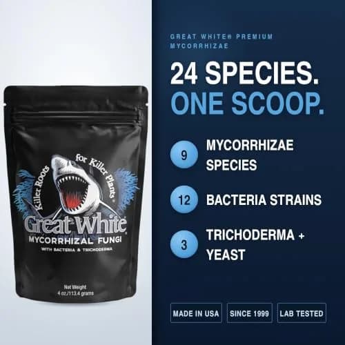 Plant Success Great White Mycorrhizal Fungi 4 oz (113g) | Beneficial Bacteria for Plant Growth thumbnail 4