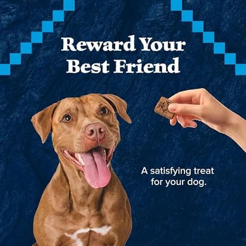 Blue Buffalo Wilderness Turkey Crunchy Dog Biscuits, Grain-Free, 283g (10 oz) | High-Protein, No Artificial Preservatives thumbnail 4