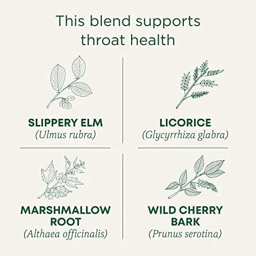 Traditional Medicinals Throat Coat Seasonal Tea 16 Tea Bags | Supports Throat & Immunity thumbnail 2