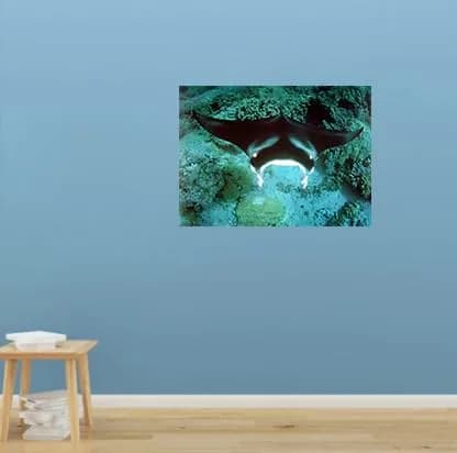Impact Posters Gallery Underwater Ocean Animal Manta Ray Sea Life Wall Decor 16x20 | Vibrant Marine Scene thumbnail 8