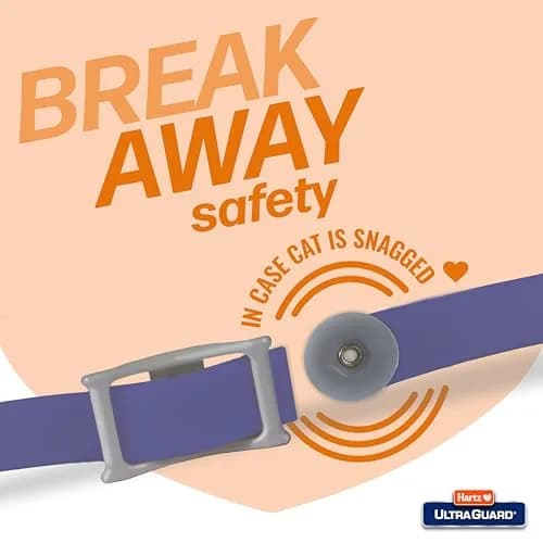 Hartz UltraGuard Purple Flea & Tick Collar for Cats and Kittens | 7 Month Protection thumbnail 3