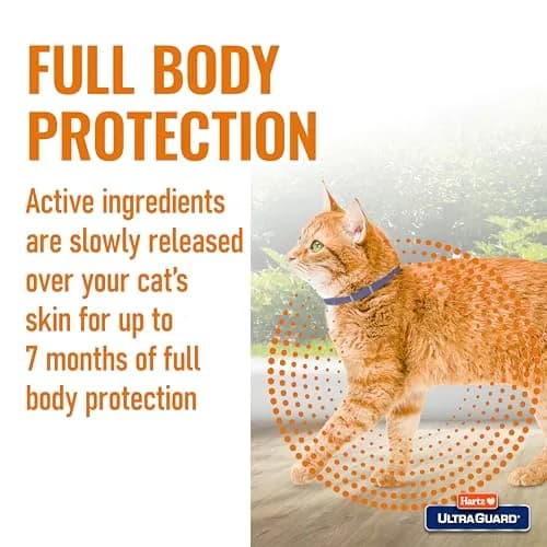 Hartz UltraGuard Purple Flea & Tick Collar for Cats and Kittens | 7 Month Protection thumbnail 4
