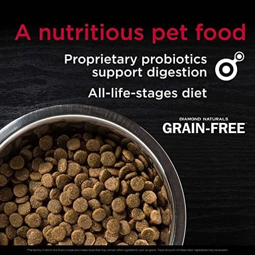 Diamond Naturals Grain-Free Dry Dog Food, Cage-Free Chicken, 14lb | All Life Stages Nutrition with Probiotics thumbnail 2