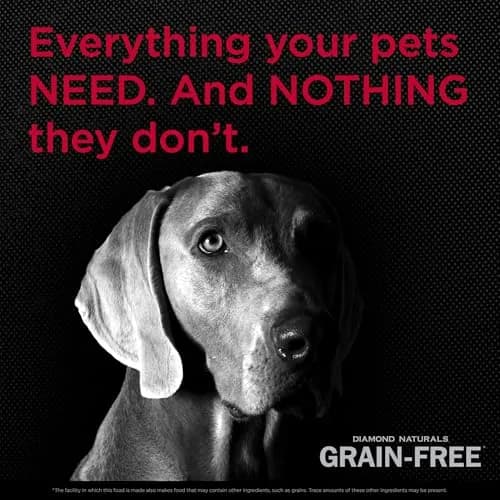 Diamond Naturals Grain Free Real Meat Recipe Premium Dry Dog Food 5Lb | Supports Lean Muscles & Energy thumbnail 4