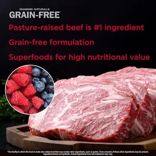 Diamond Naturals Grain Free Real Meat Recipe Premium Dry Dog Food 5Lb | Supports Lean Muscles & Energy thumbnail 3