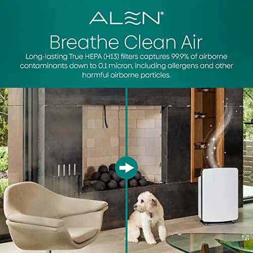 Alen BreatheSmart Classic Replacement Filter — True HEPA & Activated Carbon Filter for VOCs, Dust, Dander, Smoke, Odors (1-Pack) thumbnail 6