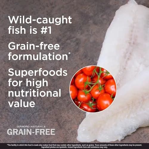 DIAMOND NATURALS Grain-Free Dry Dog Food, Wild-Caught Whitefish, 5lb | All Breed Sizes, All Day Energy, Probiotics Support thumbnail 3