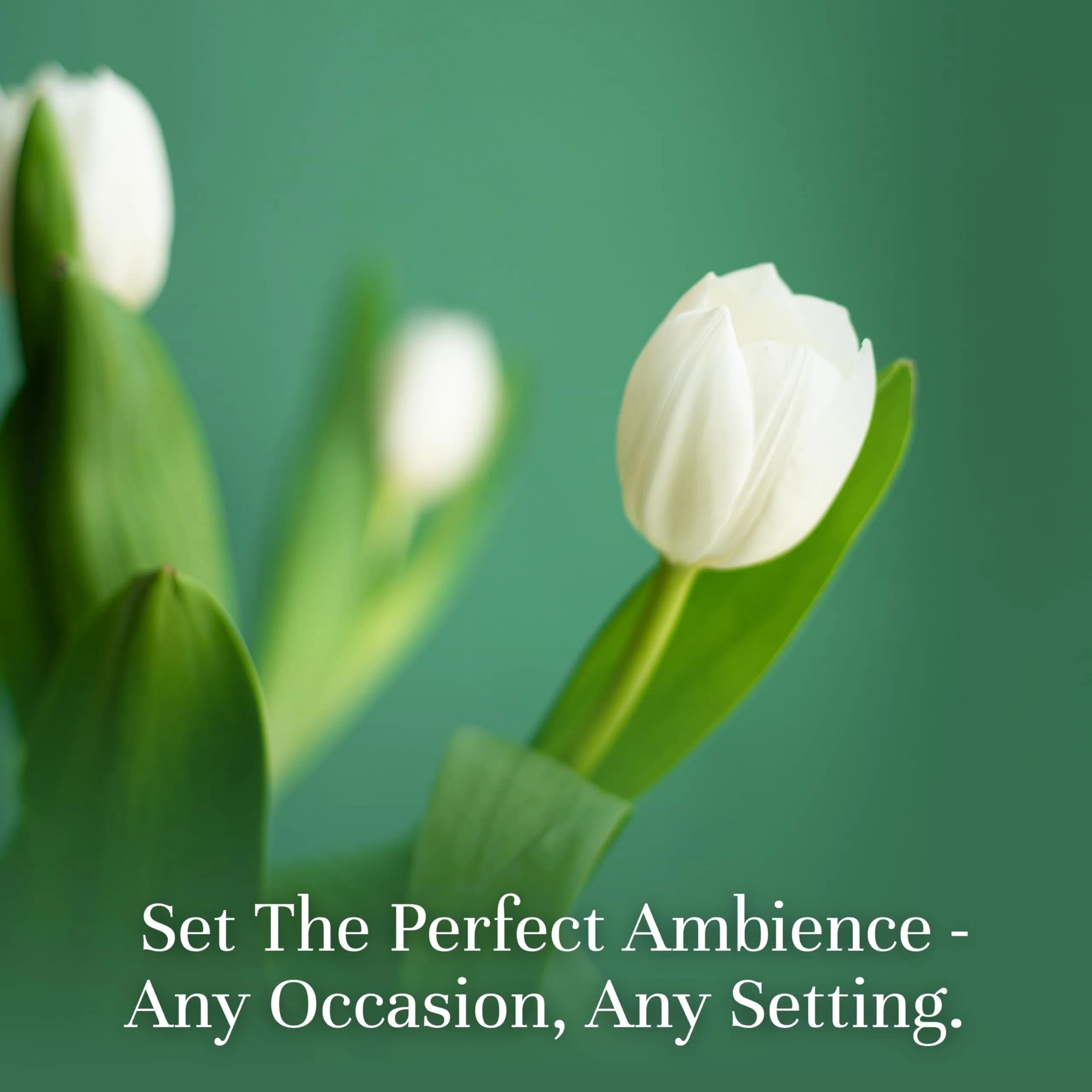 P&J Trading Fragrance Oils for Diffusers & Candle Making, 6 x 10ml Bottles | USA Imported Aromas thumbnail 2