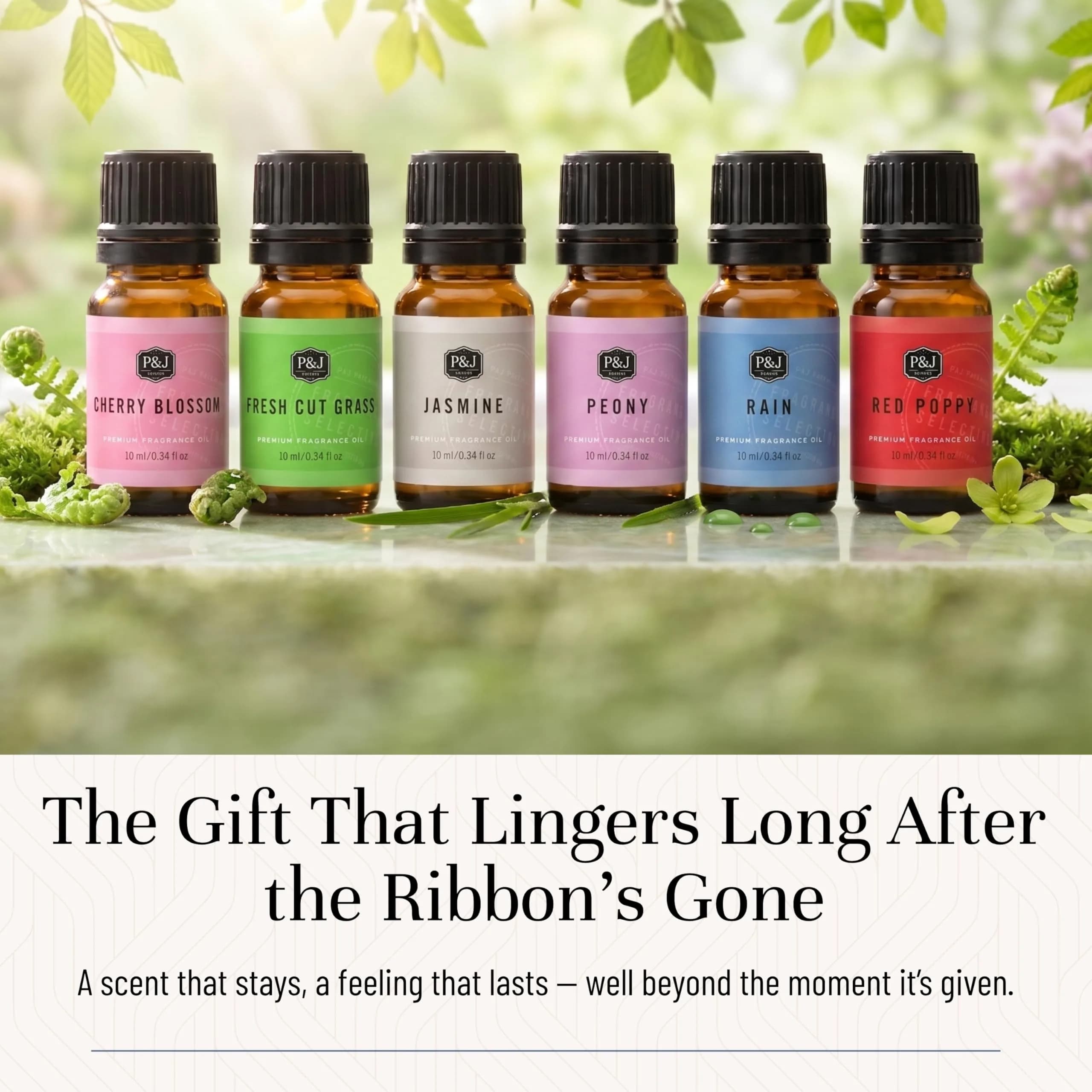 P&J Trading Fragrance Oils for Diffusers & Candle Making, 6 x 10ml Bottles | USA Imported Aromas thumbnail 5
