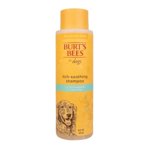Burt's Bees for Pets Itch Soothing Dog Shampoo Honeysuckle 473ml (16 Fl Oz) | Gentle Formula for Itchy, Dry Skin thumbnail 1