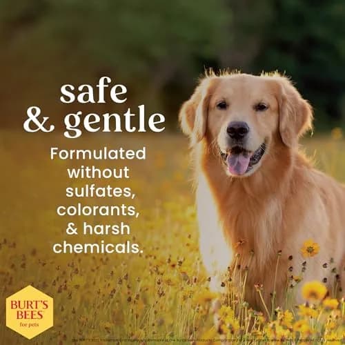 Burt's Bees for Pets Itch Soothing Dog Shampoo Honeysuckle 473ml (16 Fl Oz) | Gentle Formula for Itchy, Dry Skin thumbnail 5