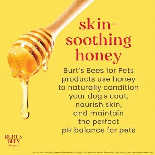 Burt's Bees for Pets Itch Soothing Dog Shampoo Honeysuckle 473ml (16 Fl Oz) | Gentle Formula for Itchy, Dry Skin thumbnail 6