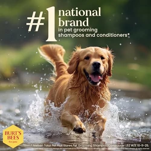 Burt's Bees for Pets Itch Soothing Dog Shampoo Honeysuckle 473ml (16 Fl Oz) | Gentle Formula for Itchy, Dry Skin thumbnail 7