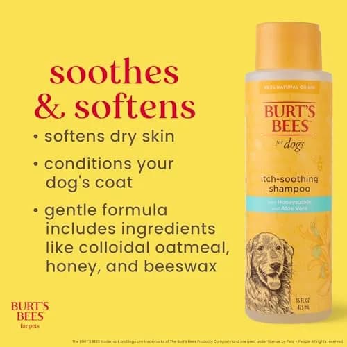 Burt's Bees for Pets Itch Soothing Dog Shampoo Honeysuckle 473ml (16 Fl Oz) | Gentle Formula for Itchy, Dry Skin thumbnail 3