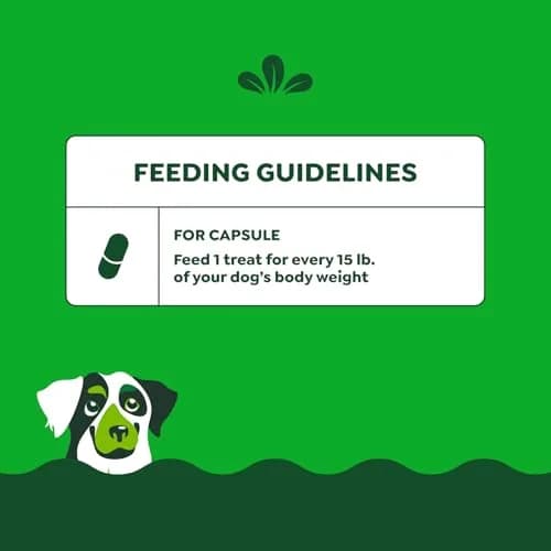 Greenies Pill Pockets Peanut Butter Large Size Dog Treats 180 Count (7.9 oz x 6) | Vet-Recommended Medicine Masking thumbnail 7