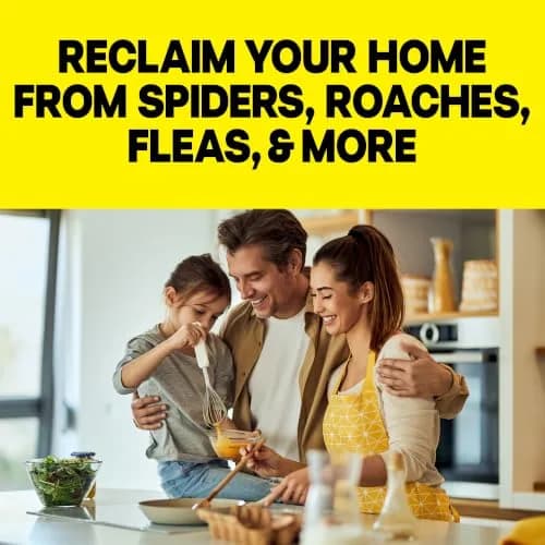 Raid Deep Reach Pest Killer & Roach Fogger 1.5 fl oz | Indoor Roach & Flea Control, Residual Action for Up to 2 Months thumbnail 5