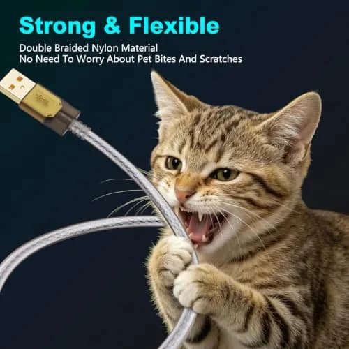 Jelly Tang USB 2.0 Printer Cable 3m (10ft) | High-Speed Data Transfer for Printers and Scanners thumbnail 7