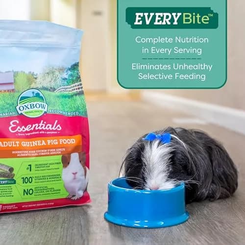 Oxbow Essentials Adult Guinea Pig Food, Timothy Hay Pellets, USA, 5 lb | Complete, High-Fiber Nutrition for Guinea Pigs thumbnail 8