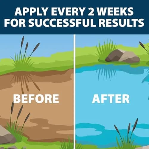 Airmax PondClear Packets Beneficial Bacteria Pond Clarifier 12 Packets | Clears Pond Water in 2-4 Weeks thumbnail 9