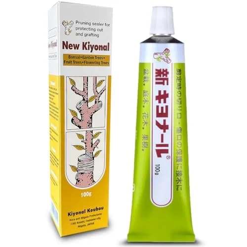 Kiyonal Bonsai Pruning Cutting Sealer Paste 100g (3.53 oz) | Japanese Wound Sealant for Healthy Tree Growth thumbnail 1