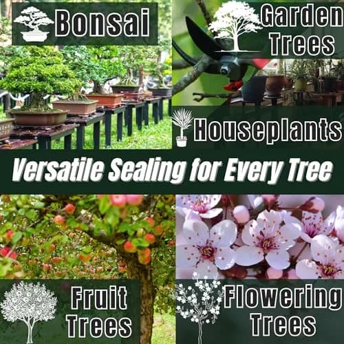 Kiyonal Bonsai Pruning Cutting Sealer Paste 100g (3.53 oz) | Japanese Wound Sealant for Healthy Tree Growth thumbnail 3
