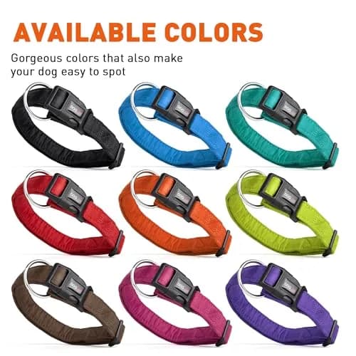 Dogline Pet Collar 3/4-Inch Wide Purple | Soft Microfiber, Reinforced Nylon, Machine Washable thumbnail 3