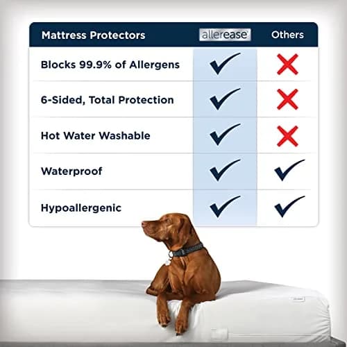 Aller-Ease Waterproof Mattress Protector Queen Size 80"x60"x12" | Allergy Barrier & Stain Protection thumbnail 4