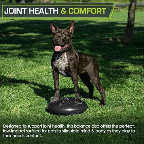 ProsourceFit Core Balance Disc Trainer 14” Diameter | Improve Posture & Stability thumbnail 5