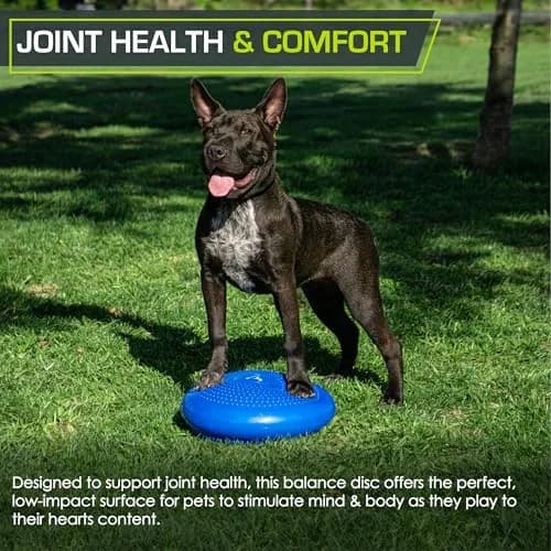 ProSource Core Balance Disc Trainer 14" Blue | Core Stability & Balance Exercise Tool thumbnail 7