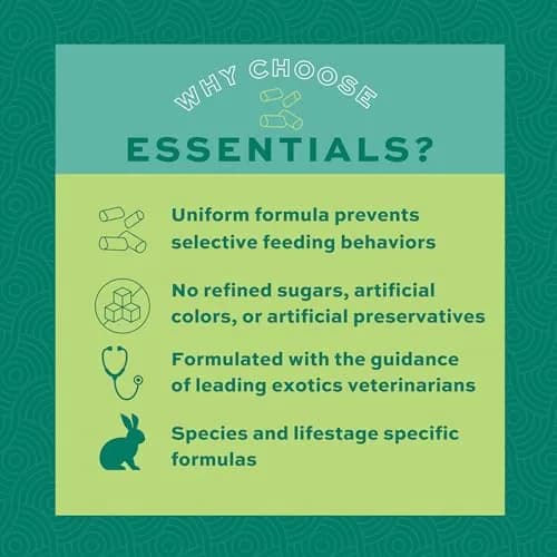 Oxbow Essentials Adult Rabbit Food Timothy Hay Pellets 11.3 kg (25 lb) | Veterinarian Recommended for Adult Rabbits thumbnail 4