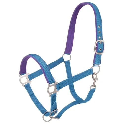 Tough 1 Padded Horse Halter with Satin Hardware - Turquoise | Durable Nylon, Adjustable Fit, Satin Finish thumbnail 1