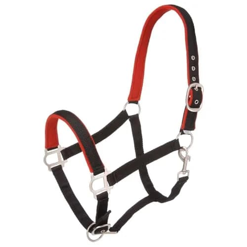Tough 1 Padded Horse Halter with Satin Hardware | Durable Nylon, Adjustable Fit, Elegant Satin Finish thumbnail 1