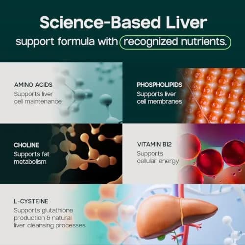 LIVERITE Liver Aid - Liver Support Supplement - 60 Tablets | Supports Liver Function & Energy thumbnail 6