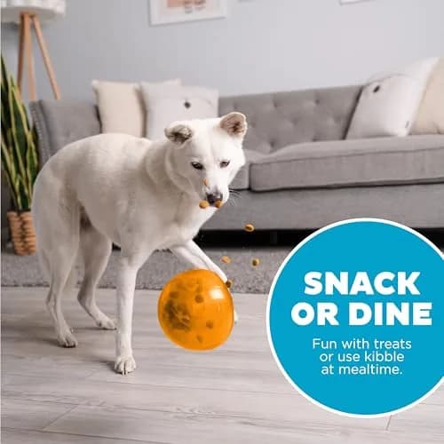 Outward Hound Snoop Interactive Treat Dispenser Dog Toy, Orange, 5" | Mental Stimulation & Slow Feeder thumbnail 6